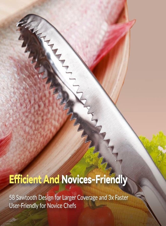 BLINE Fish Scaler Stainless Steel Fish Scaler Remover No Mess - Sturdy Fish Descaler Tool Portable Fish Scale Remover - Durable Fish Scraper Fish Cleaning Tools for Quick & Easy Fish Scaling (Pack 1) - Image 5